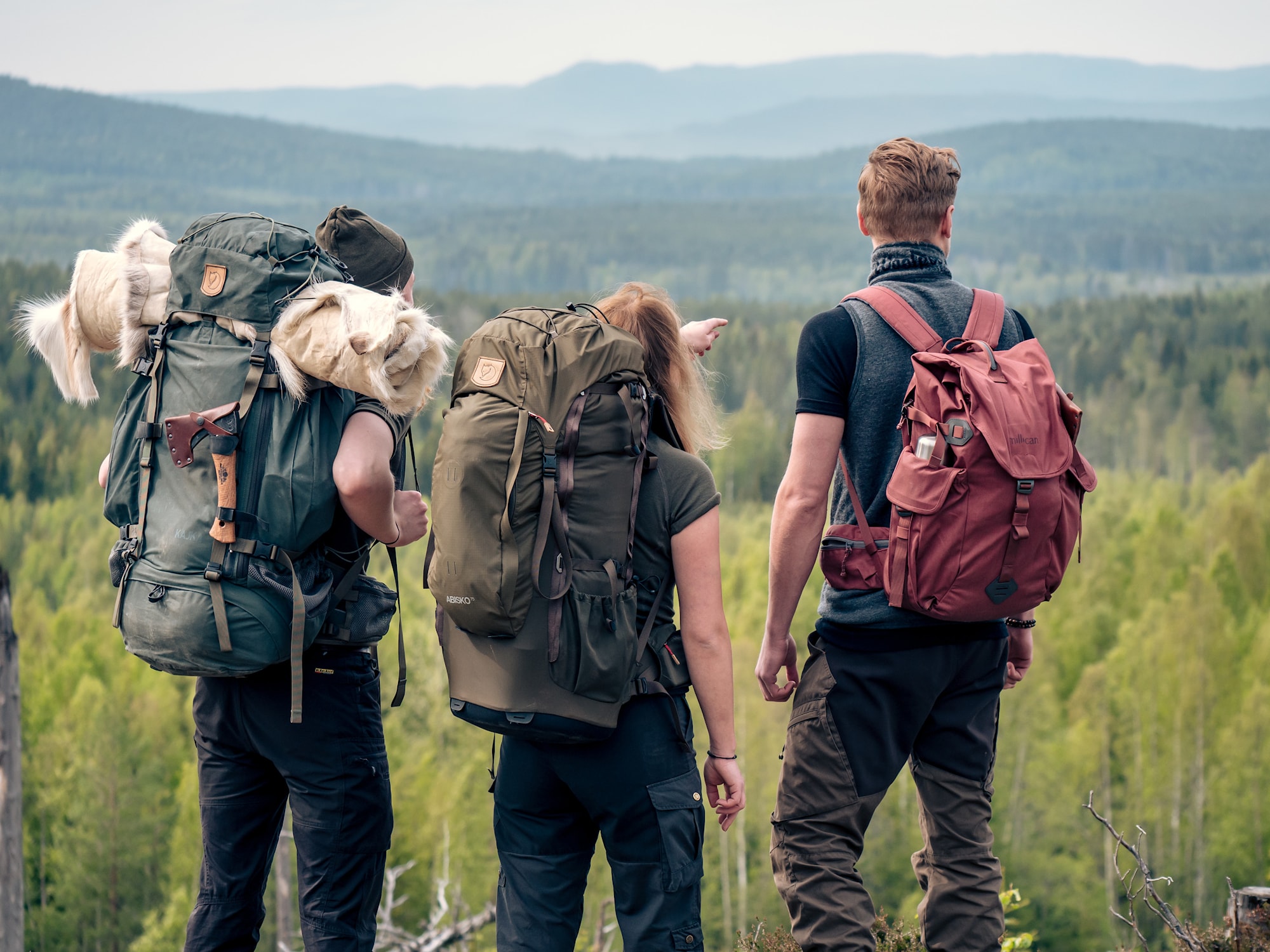 Hiking summer - stor (284417).jpg