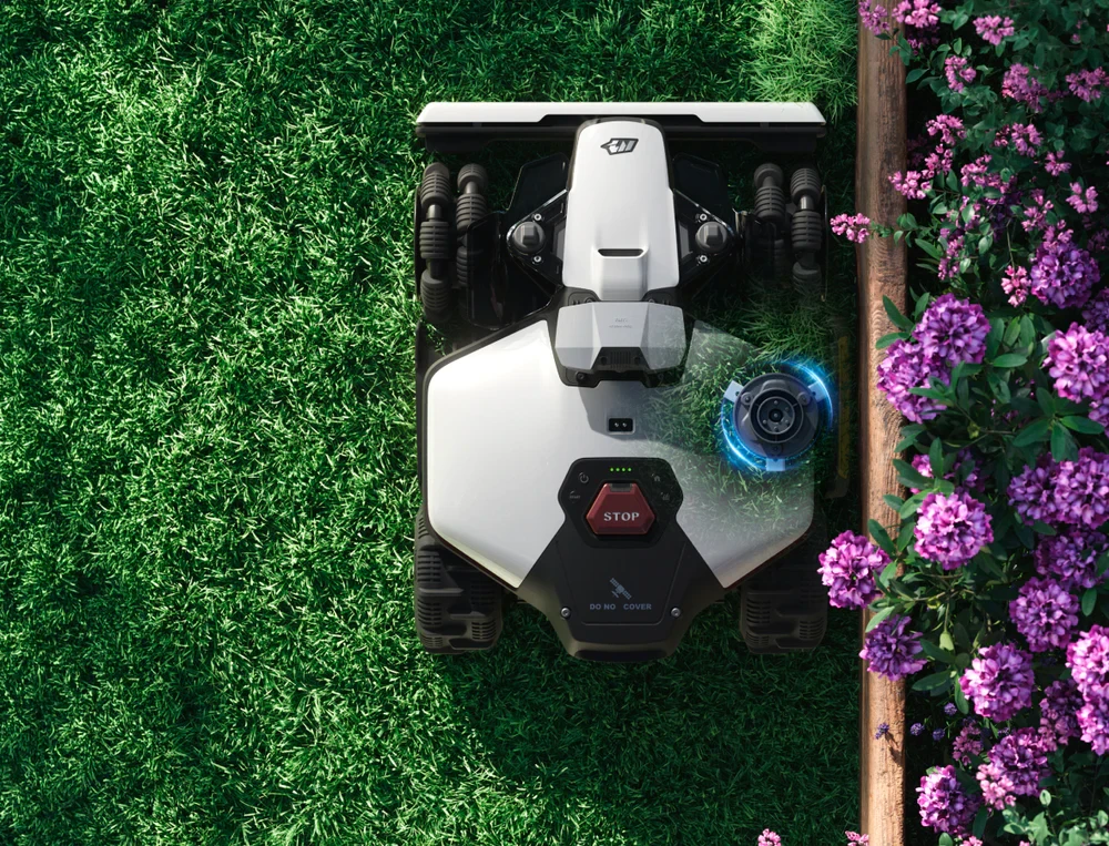 Frame_1973770767_1.webp