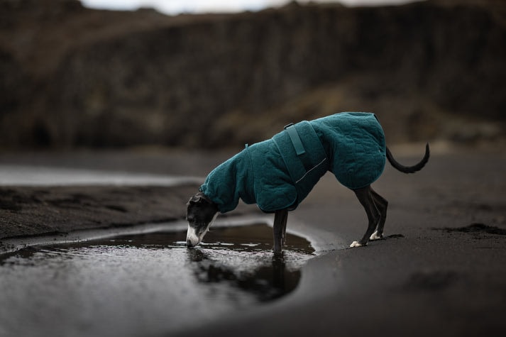 drying_coat_dark_teal_2668-2678_10_lifestyle[1].jp