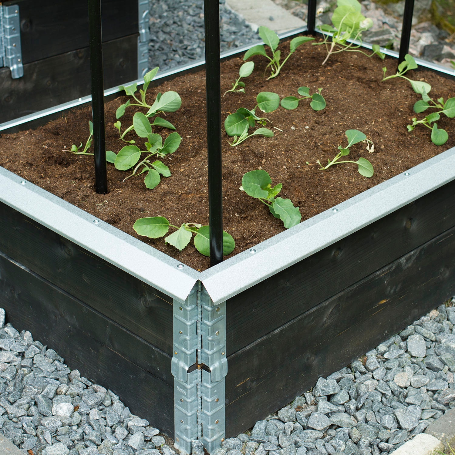 snigelkant-flexigarden-till-odlingslada-i-tra__671