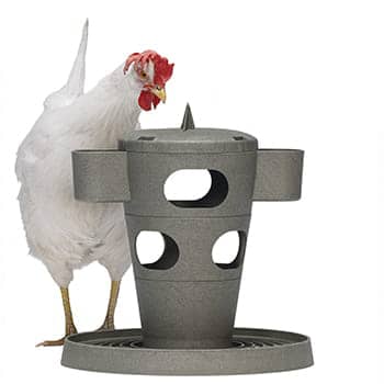 Ryom Snack-Turm für Hühner