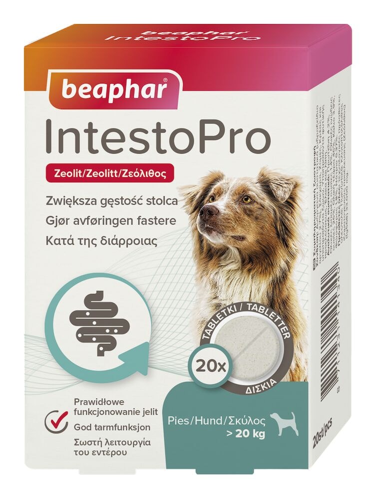 Beaphar IntestoPro Tabletten für Hunde über 20 kg, 20 Tabletten