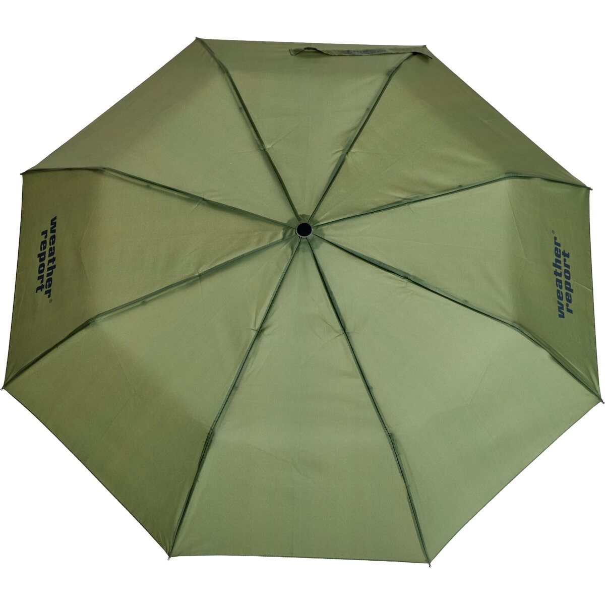 WR254028 - 3146 Tea Leaf - Extra 2.jpg